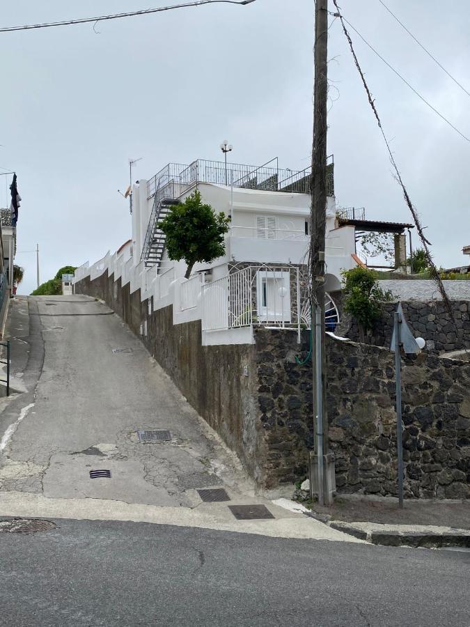Porcavilla B&B Ischia Buitenkant foto
